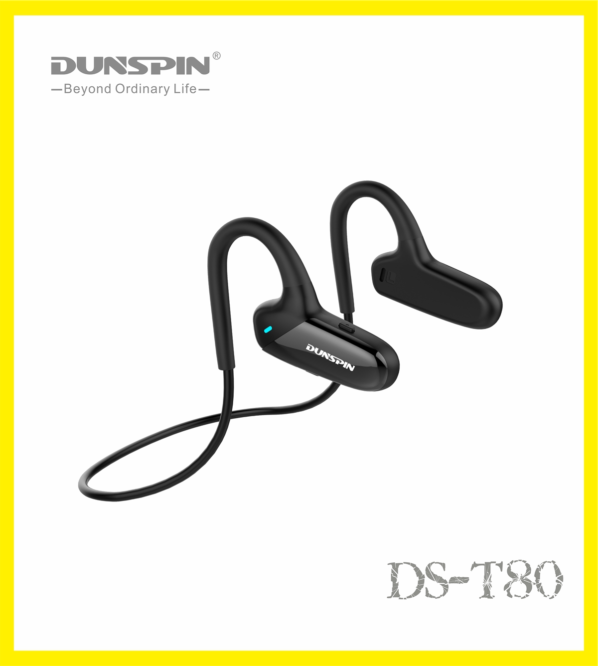 DS-T80